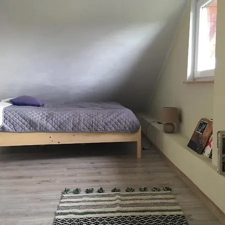 度假居 W Czarnolesie *