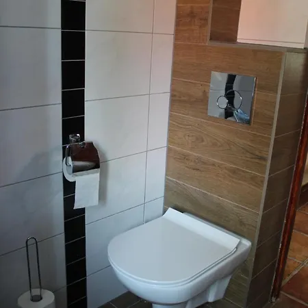 W Czarnolesie 度假居 维德米内