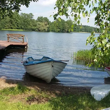 W Czarnolesie 度假居 维德米内